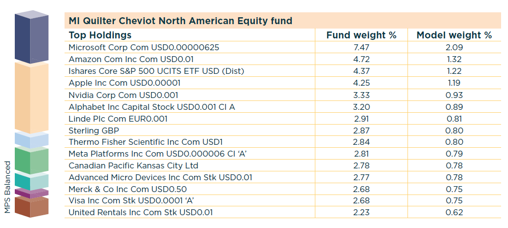 Table showing the top holding in the North American Equity Fund